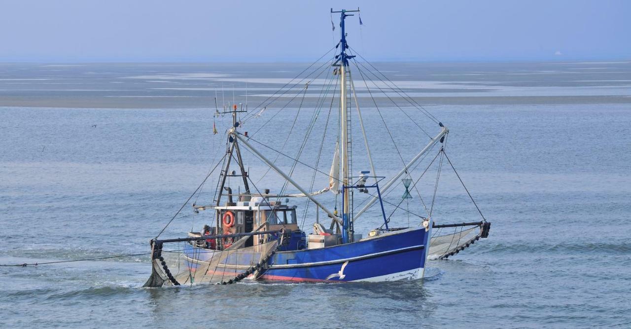 Ferienwohnung Familie Boeckmann Auf Norderney Zewnętrze zdjęcie